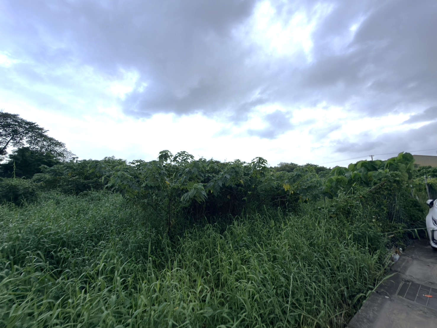 八德興豐路｜3075坪大面寬農地｜正20米路・可分割｜桃園市八德區｜興豐路